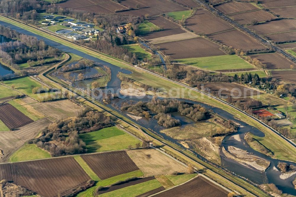 Aerial photograph Teningen - Curved loop of the riparian zones on the course of the river Elzdamm of Elz in Teningen in the state Baden-Wurttemberg, Germany