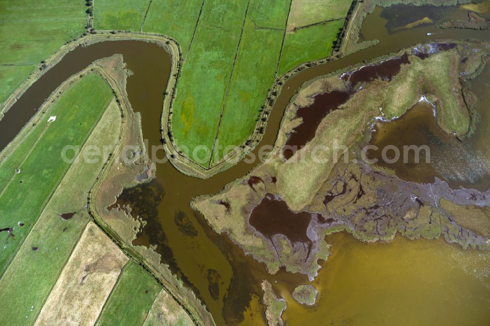 Aerial photograph Zingst - Riparian areas along the river mouth Prerower Strom in Zingst at the baltic coast in the state Mecklenburg - Western Pomerania, Germany