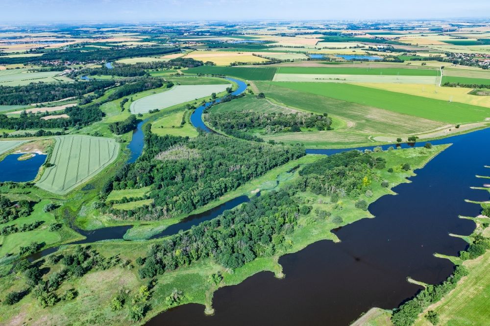 Aerial photograph Barby (Elbe) - Riparian areas along the river mouth Saale and Elbe next Barby in the state Saxony-Anhalt, Germany