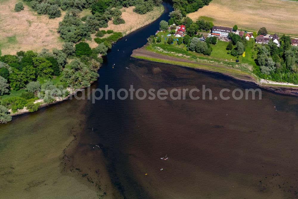 Aerial image 88097 Eriskirch - Riparian areas along the river estuary of the Schussen in Lake Constance in Eriskirch on Lake Constance in the state Baden-Wuerttemberg, Germany