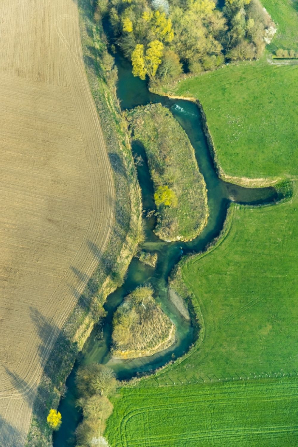 Aerial image Norddinker - Riparian zones on the course of the river of Ahse in Norddinker in the state North Rhine-Westphalia, Germany