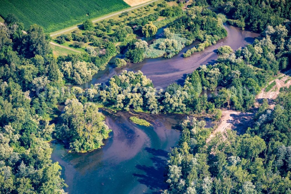 Aerial image Meißenheim - Riparian zones on the course of the river Altrhein in Meissenheim in the state Baden-Wuerttemberg, Germany