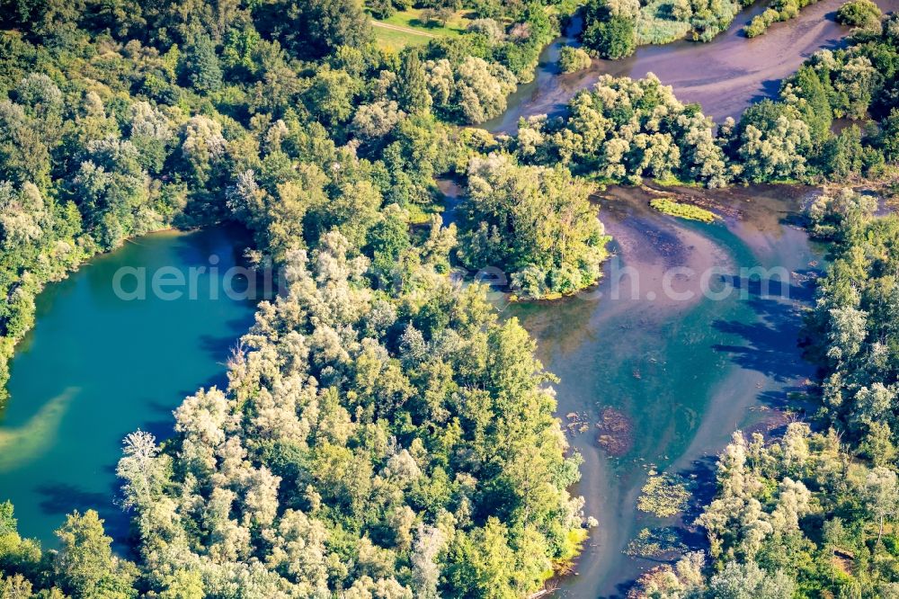 Aerial photograph Meißenheim - Riparian zones on the course of the river Altrhein in Meissenheim in the state Baden-Wuerttemberg, Germany