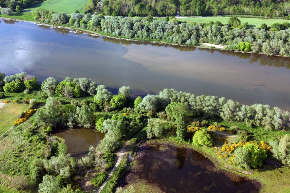 Aerial image Poilly-lez-Gien - Riparian zones on the course of the river of the Loire in Poilly-lez-Gien in Centre, France