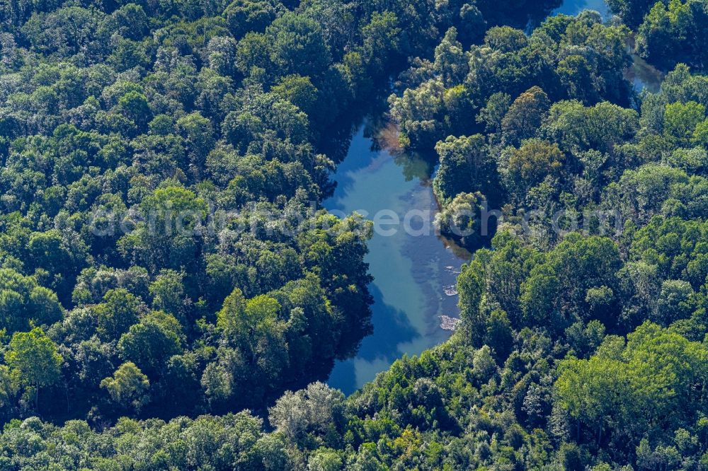 Aerial image Rheinau - Riparian zones on the course of the river Naturschutzgebiet Taubergiessen in Rheinau in the state Baden-Wurttemberg, Germany