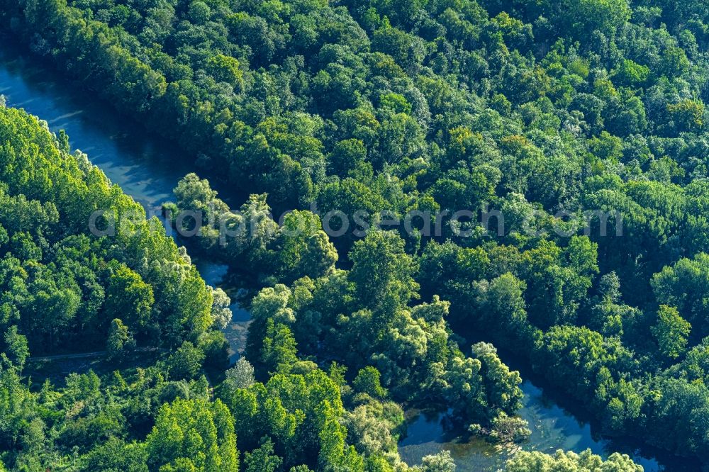 Aerial photograph Rheinau - Riparian zones on the course of the river Naturschutzgebiet Taubergiessen in Rheinau in the state Baden-Wurttemberg, Germany