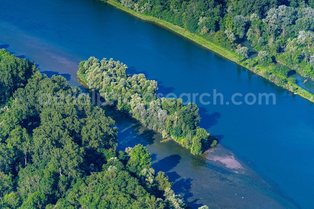 Rheinau from above - Riparian zones on the course of the river Naturschutzgebiet Taubergiessen in Rheinau in the state Baden-Wurttemberg, Germany
