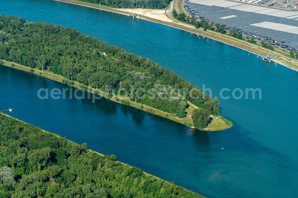 Aerial image Rheinau - Riparian zones on the course of the river Naturschutzgebiet Taubergiessen in Rheinau in the state Baden-Wurttemberg, Germany