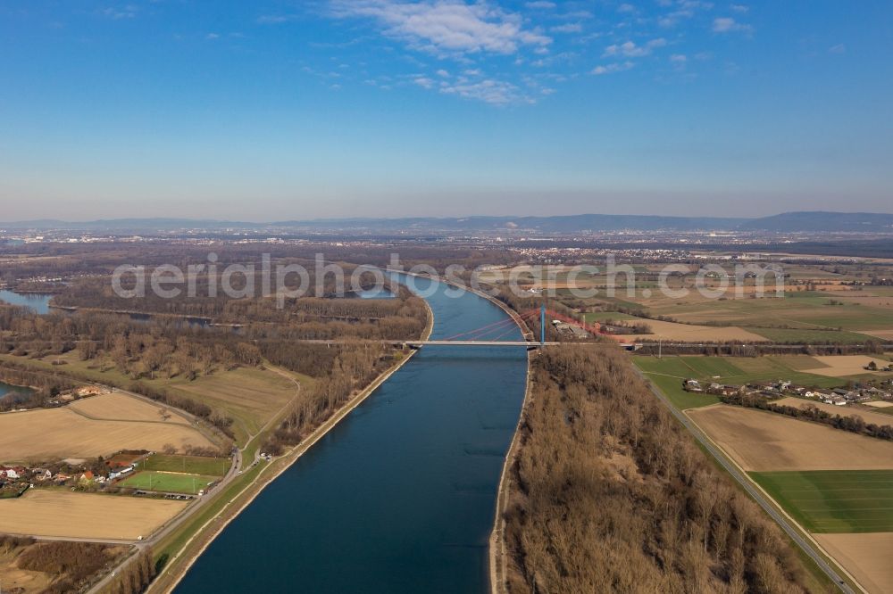 Aerial image Speyer - Riparian zones on the course of the river of Rhine with motorway bridge of the A61 in Speyer in the state Rhineland-Palatinate, Germany