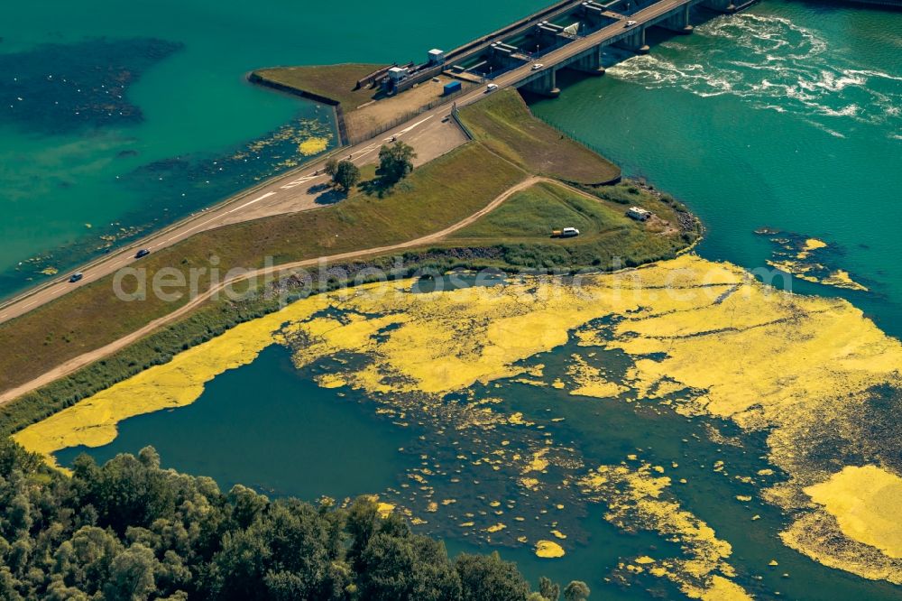 Aerial image Schwanau - Riparian zones on the course of the river Rhine in Schwanau in the state Baden-Wuerttemberg, Germany