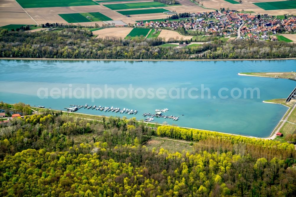 Aerial image Weisweil - Riparian zones on the course of the river Rhine in Weisweil in the state Baden-Wuerttemberg, Germany