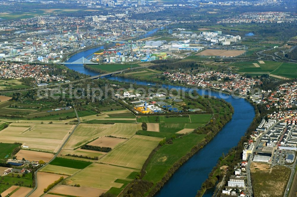 Kelsterbach from above - Curved loop of the riparian zones on the course of the river Main in Kelsterbach in the state Hesse, Germany