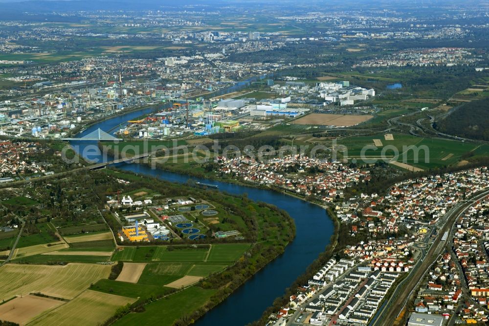 Kelsterbach from the bird's eye view: Curved loop of the riparian zones on the course of the river Main in Kelsterbach in the state Hesse, Germany