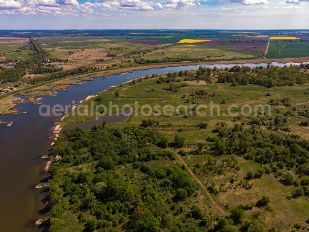 Küstriner Vorland from the bird's eye view: Curved loop of the riparian zones on the course of the river Oder in Kuestriner Vorland in Lubuskie Lebus, Poland