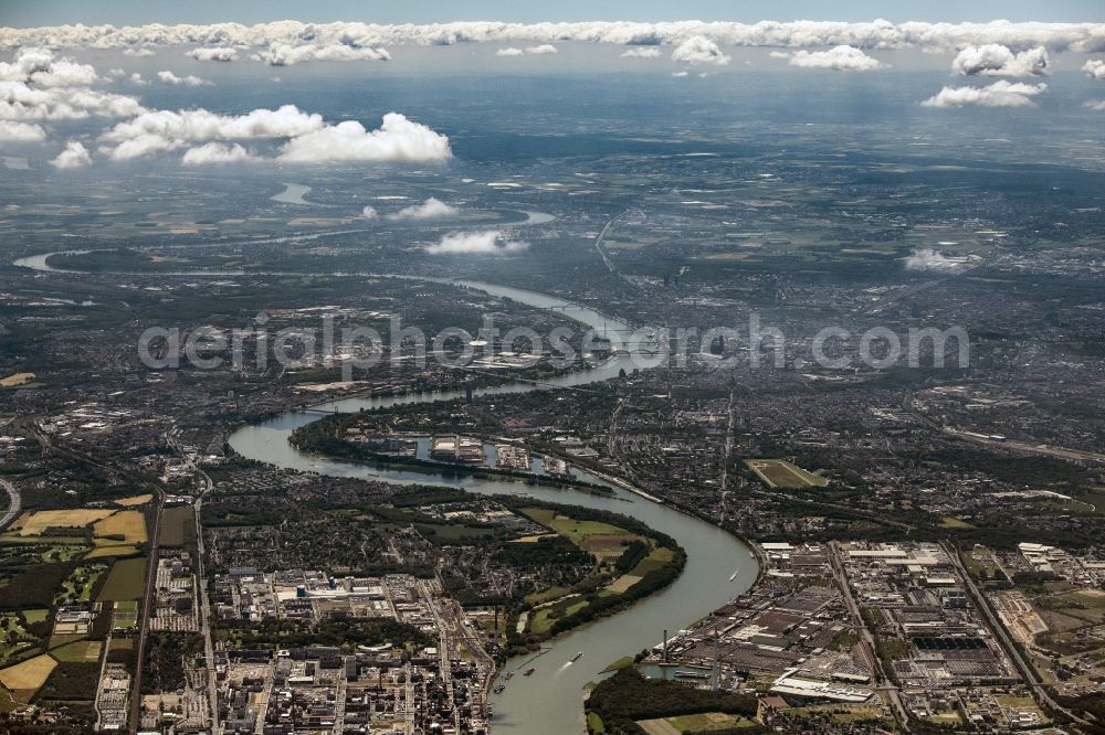 Aerial image Köln - Curved loop of the riparian zones on the course of the river Rhine in Cologne in the state North Rhine-Westphalia, Germany