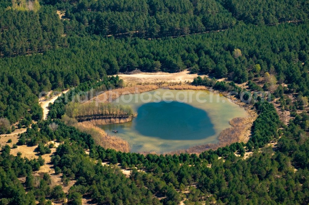 Müllrose from the bird's eye view: Riparian areas on the lake in a forest area in Muellrose in the state Brandenburg, Germany
