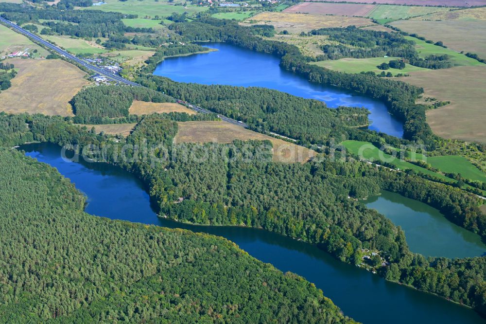 Werbellin from the bird's eye view: Riparian areas on the lake area of Uedersee in a forest area in Werbellin at Schorfheide in the state Brandenburg, Germany