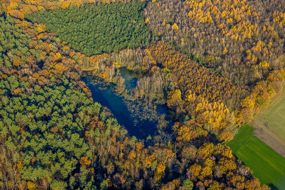 Aerial photograph Kirchhellen - riparian areas on the lake area of Elsbachsee on street Koppelweg in Kirchhellen at Ruhrgebiet in the state North Rhine-Westphalia, Germany