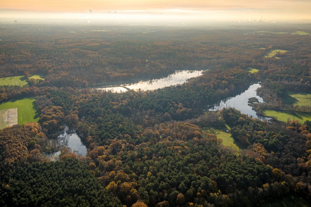 Kirchhellen from the bird's eye view: riparian areas on the lake area of Elsbachsee on street Koppelweg in Kirchhellen at Ruhrgebiet in the state North Rhine-Westphalia, Germany