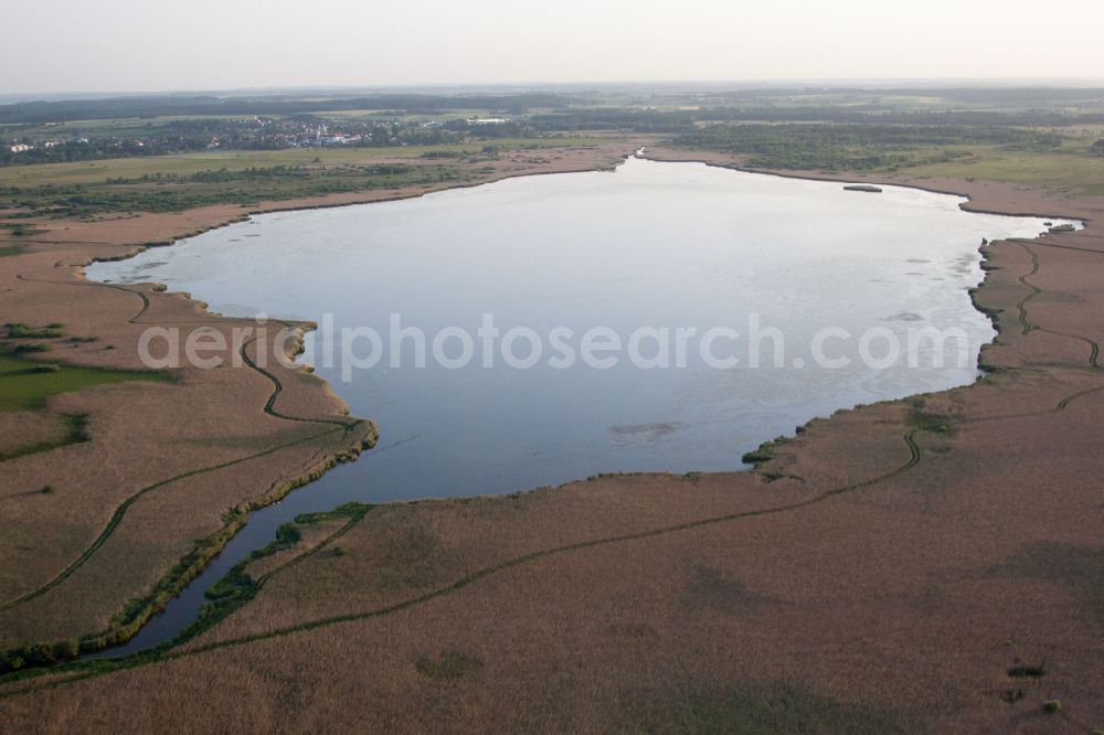 Aerial photograph Federsee - Riparian areas on the lake area of Federsee in Federsee in the state Baden-Wuerttemberg, Germany
