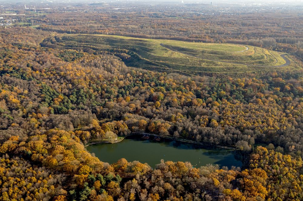 Aerial photograph Bottrop - Riparian areas on the lake area of Forellensee in Bottrop in the state North Rhine-Westphalia, Germany