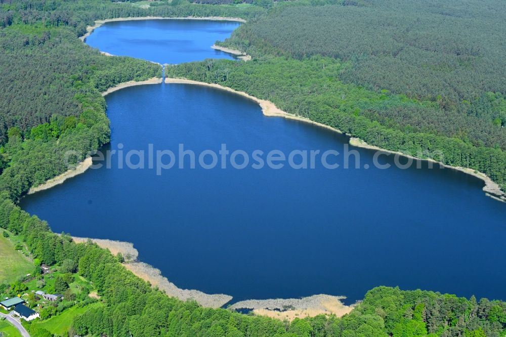 Godendorf from the bird's eye view: Riparian areas on the lake area of Godendorfer See in a forest area in Godendorf in the state Mecklenburg - Western Pomerania, Germany