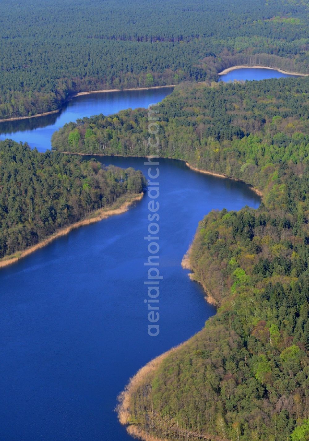 Aerial image Groß Dölln - Riparian areas on the lake of Grossdoellner See in Gross Doelln in the state Brandenburg