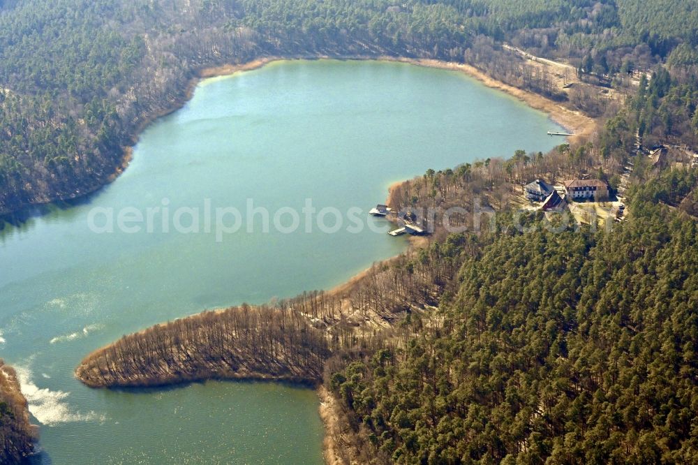 Aerial photograph Templin - Riparian areas on the lake area of Grosser Doellnsee in a forest area in the district Gross Doelln in Templin in the state Brandenburg, Germany