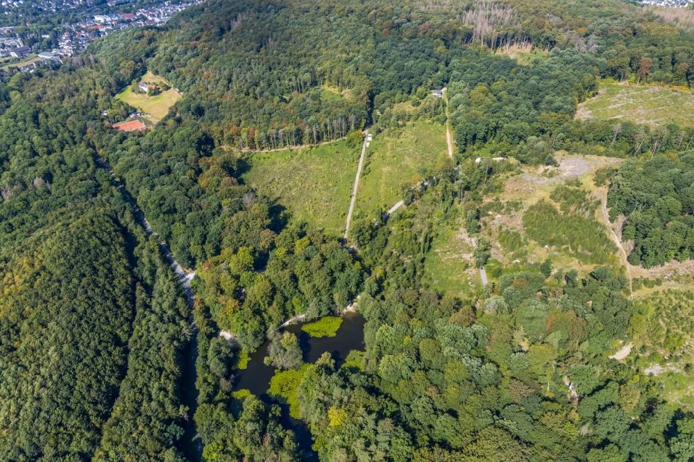 Aerial photograph Menden (Sauerland) - Riparian areas on the lake area of Hexenteich on Rothenberg in a forest area in Menden (Sauerland) in the state North Rhine-Westphalia, Germany