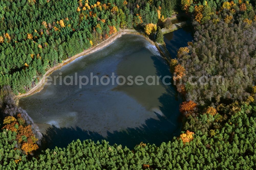 Wiesendorf from the bird's eye view: Riparian areas on the lake area of Kleiner Hofsee in a forest area in Wiesendorf in the state Bavaria, Germany