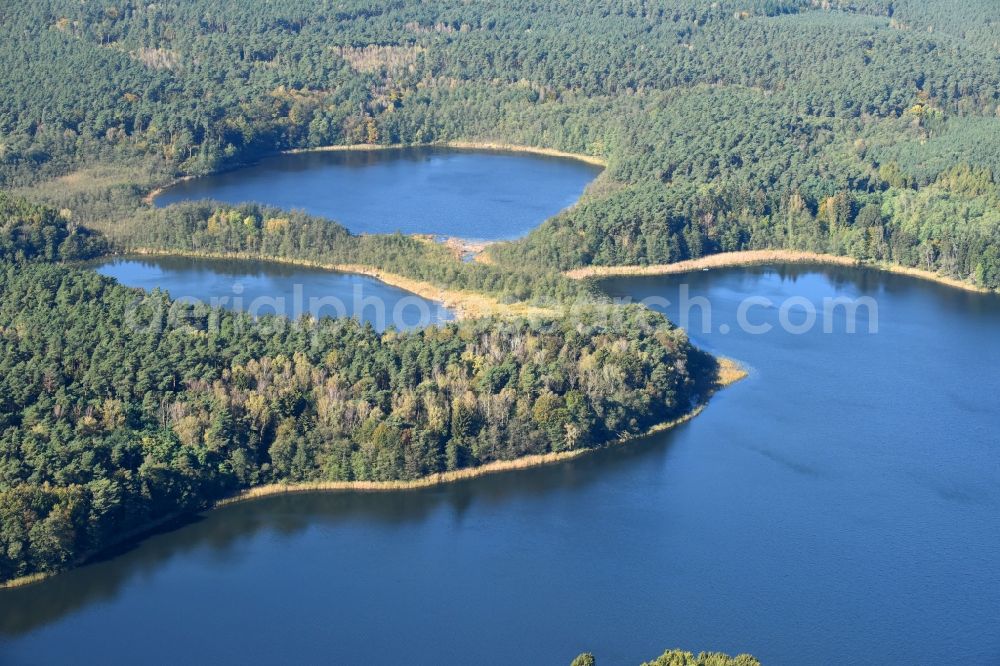 Aerial photograph Münchehofe - Riparian areas on the lake area of Klobichsee in Muenchehofe in the state Brandenburg, Germany