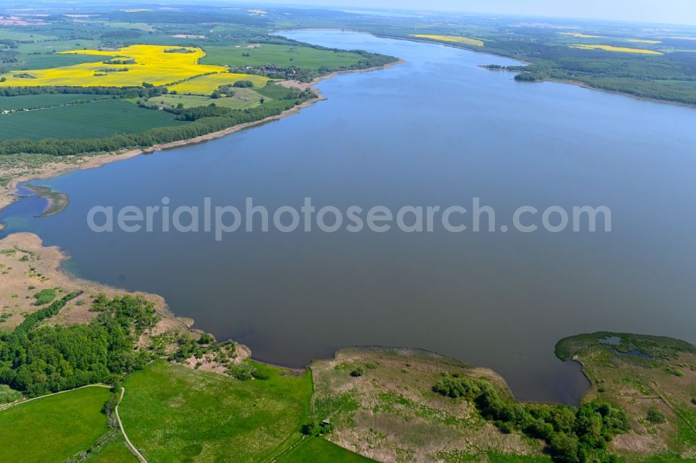 Aerial image Dahmen - Riparian areas on the lake area of Malchiner See in Dahmen in the state Mecklenburg - Western Pomerania, Germany
