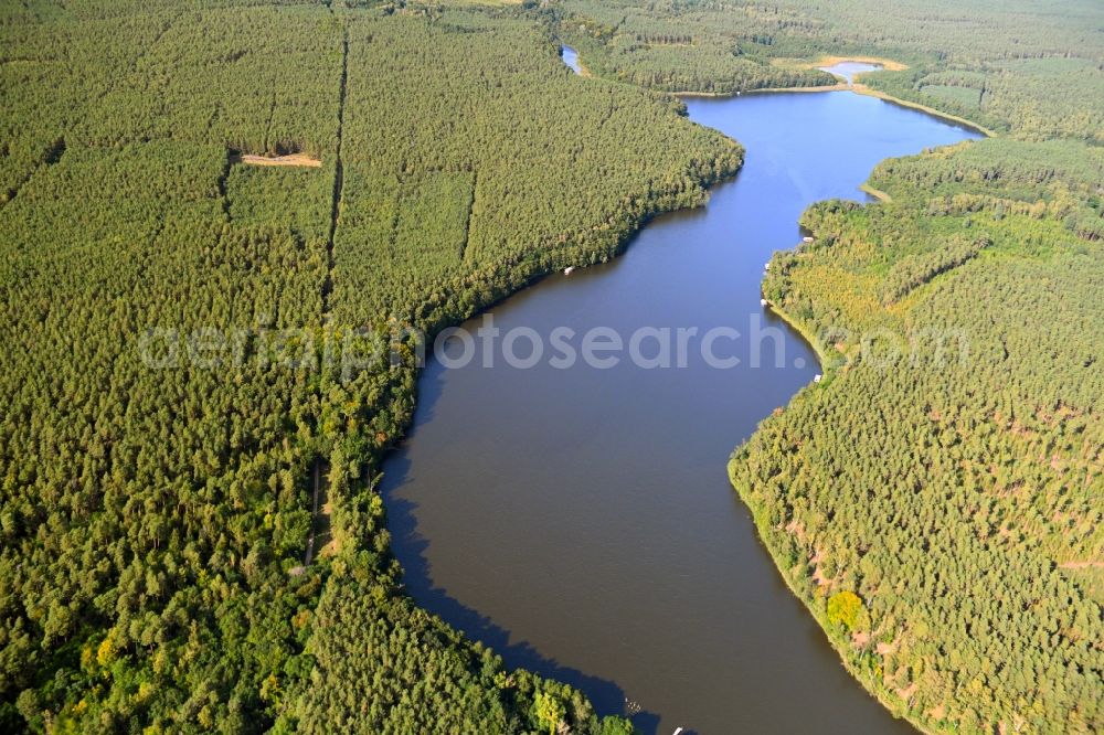 Aerial photograph Alt Ruppin - Riparian areas on the lake area of Moellensee in a forest area in Alt Ruppin in the state Brandenburg, Germany