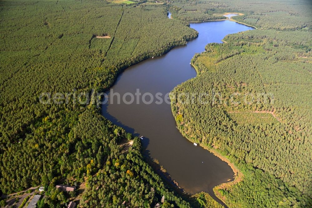 Alt Ruppin from above - Riparian areas on the lake area of Moellensee in a forest area in Alt Ruppin in the state Brandenburg, Germany