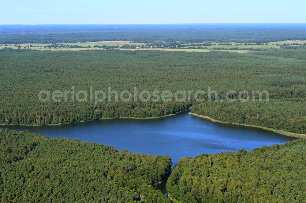 Alt Ruppin from the bird's eye view: Riparian areas on the lake area of Moellensee in a forest area in Alt Ruppin in the state Brandenburg, Germany