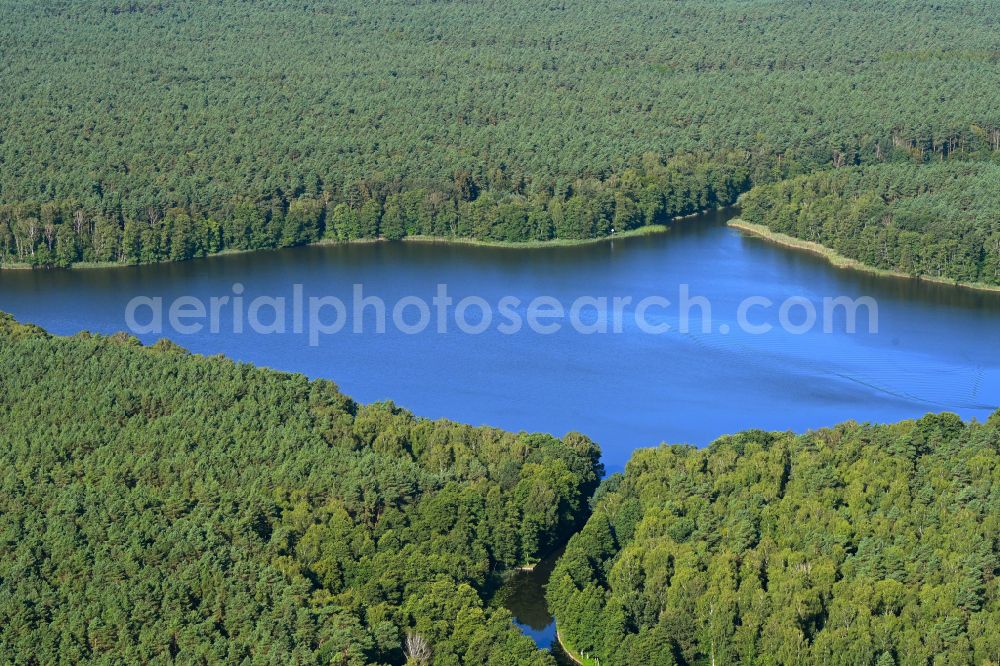 Aerial image Alt Ruppin - Riparian areas on the lake area of Moellensee in a forest area in Alt Ruppin in the state Brandenburg, Germany
