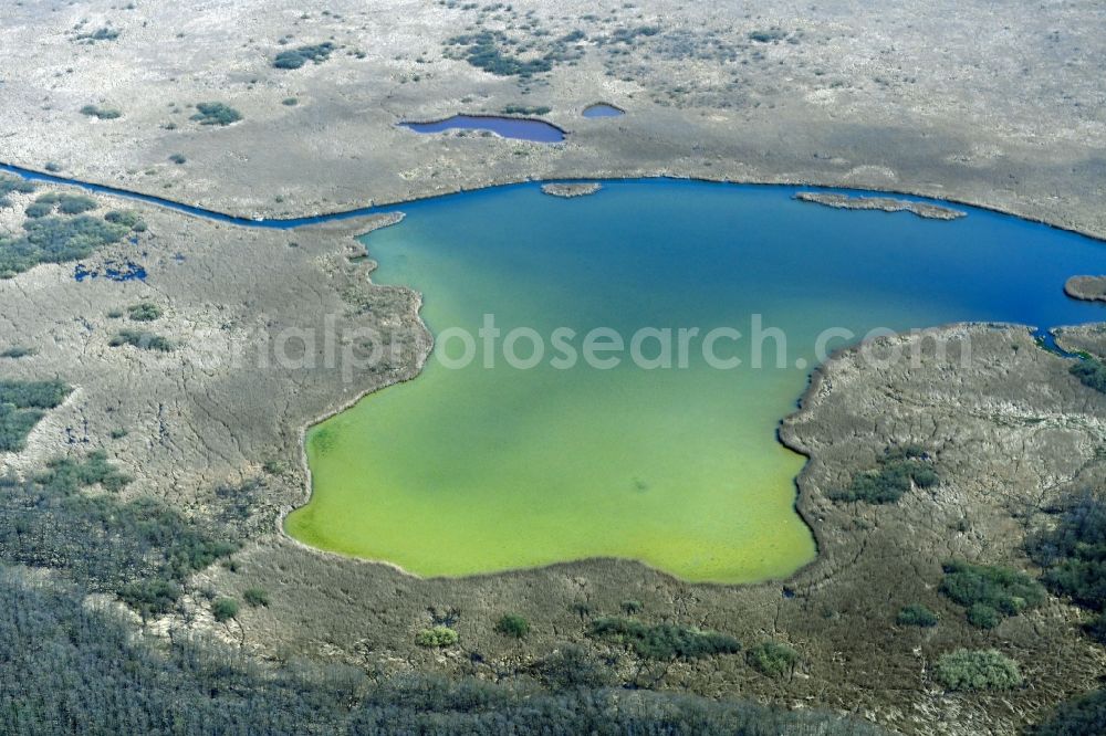 Strehlow from the bird's eye view: Riparian areas on the lake area of Moellensee in Strehlow in the state Brandenburg, Germany