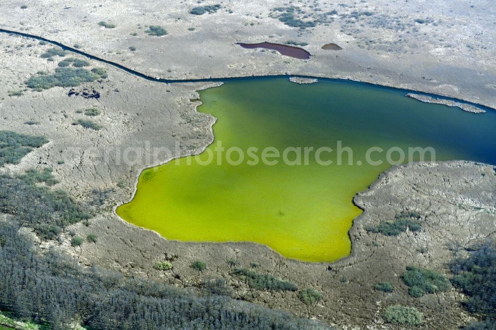 Aerial image Strehlow - Riparian areas on the lake area of Moellensee in Strehlow in the state Brandenburg, Germany