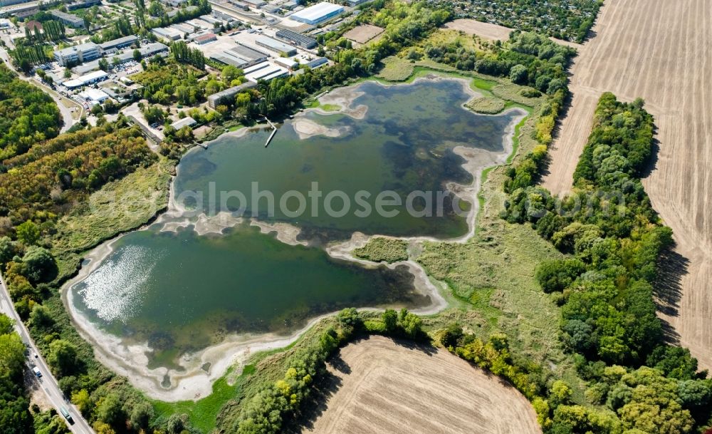 Halle (Saale) from above - Riparian areas on the lake area of Posthornteich in the district Frohe Zukunft in Halle (Saale) in the state Saxony-Anhalt, Germany