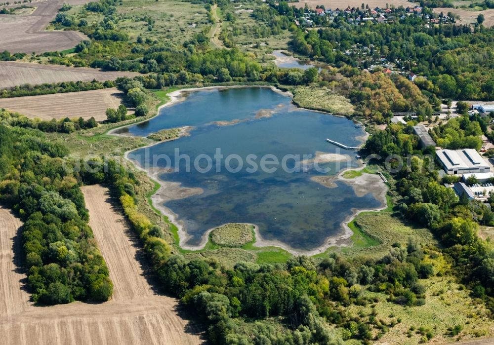 Aerial image Halle (Saale) - Riparian areas on the lake area of Posthornteich in the district Frohe Zukunft in Halle (Saale) in the state Saxony-Anhalt, Germany