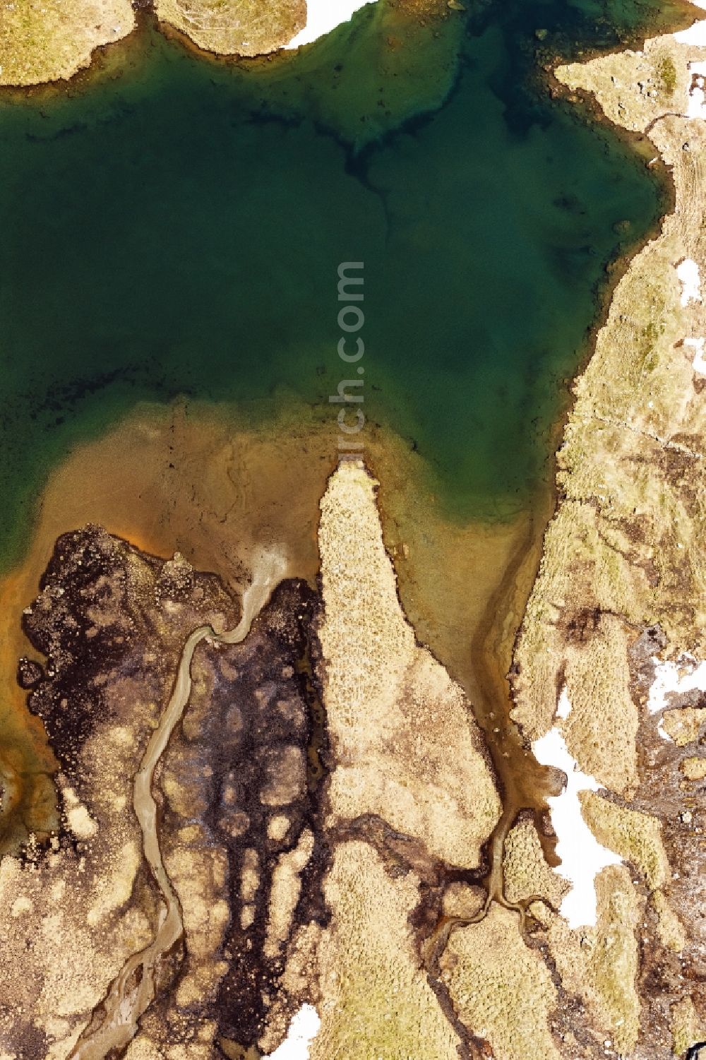 Aerial photograph Raneburger See - Riparian areas on the lake area of Raneburger See in a forest area in in Tirol, Austria