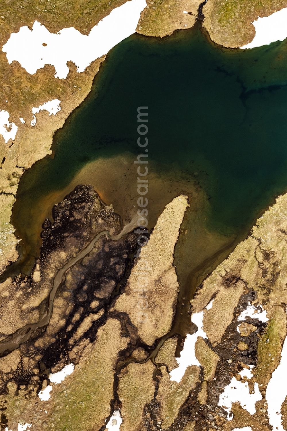 Aerial image Raneburger See - Riparian areas on the lake area of Raneburger See in a forest area in in Tirol, Austria