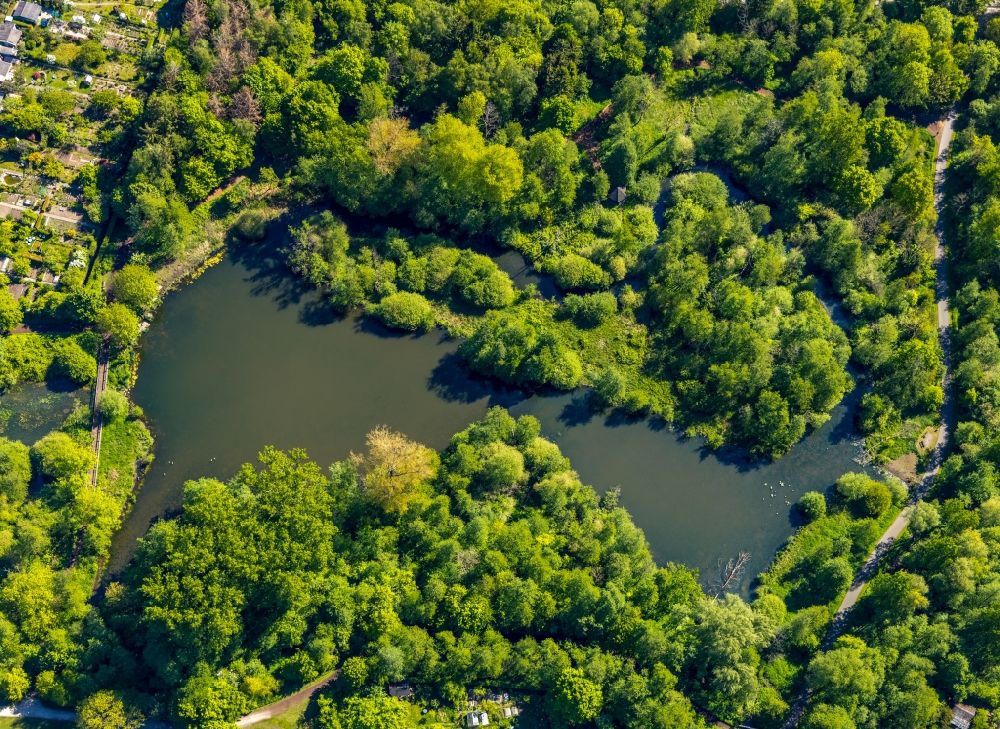 Aerial photograph Münster - Riparian areas on the lake area of Schilfsee in Nordpark also called Wienburgpark in Muenster in the state North Rhine-Westphalia, Germany