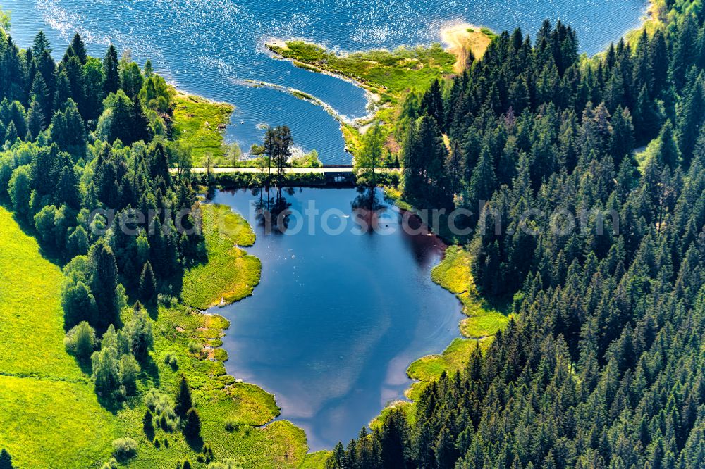 Aerial image Schluchsee - Riparian areas on the lake area of Schluchsee Oberlauf in Schluchsee in the state Baden-Wurttemberg, Germany