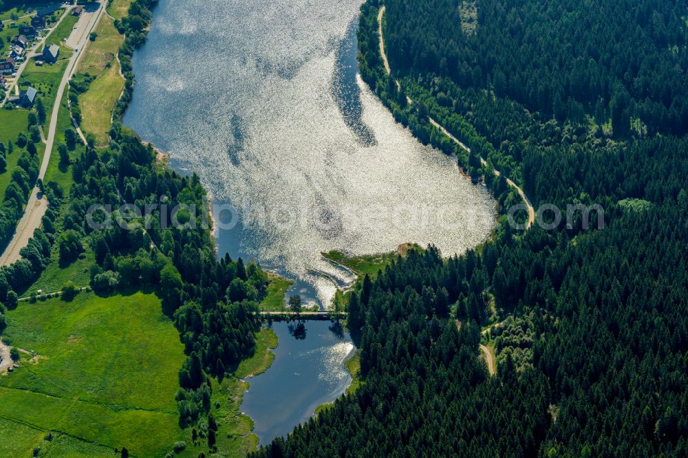 Schluchsee from the bird's eye view: Riparian areas on the lake area of Schluchsee Oberlauf in Schluchsee in the state Baden-Wurttemberg, Germany