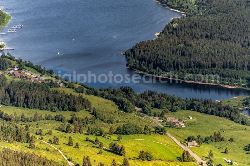 Aerial photograph Schluchsee - Riparian areas on the lake area of Schluchsee in Schwarzwald in a forest area in Schluchsee in the state Baden-Wuerttemberg, Germany
