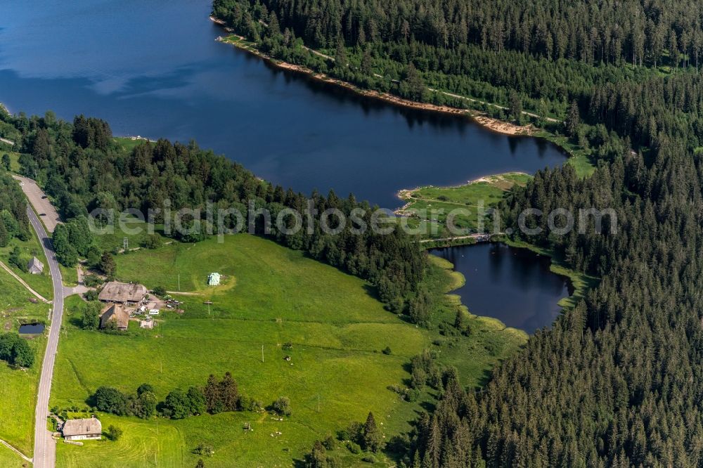 Schluchsee from the bird's eye view: Riparian areas on the lake area of Schluchsee in Schwarzwald in a forest area in Schluchsee in the state Baden-Wuerttemberg, Germany