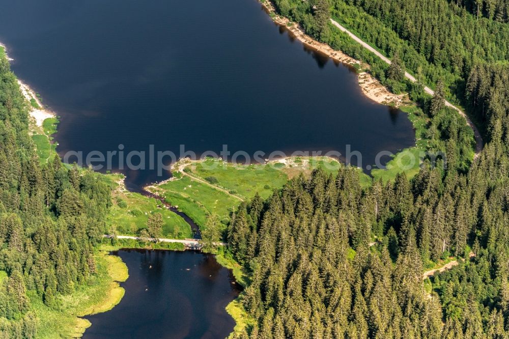 Aerial image Schluchsee - Riparian areas on the lake area of Schluchsee in Schwarzwald in a forest area in Schluchsee in the state Baden-Wuerttemberg, Germany