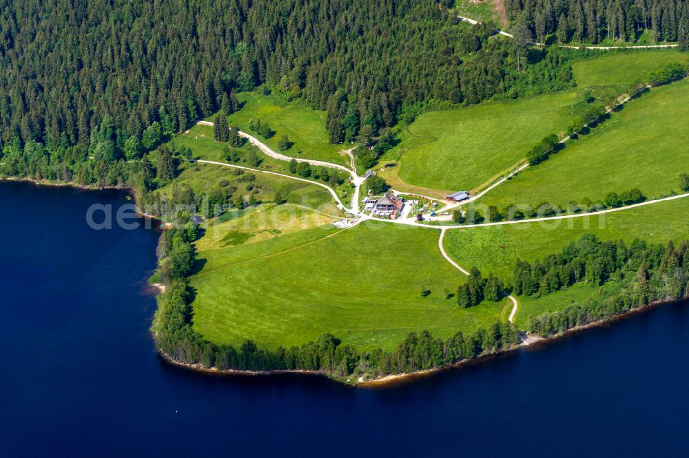 Aerial photograph Schluchsee - Riparian areas on the lake Schluchsee in the Black Forest with the place of excursions Unterkrummenhof in Schluchsee in the state Baden-Wuerttemberg, Germany