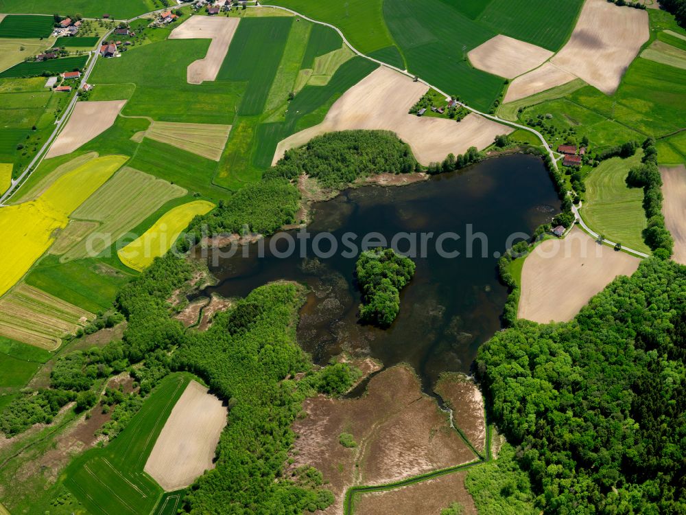 Schwaigfurt from above - Riparian areas on the lake area of in Schwaigfurt in the state Baden-Wuerttemberg, Germany